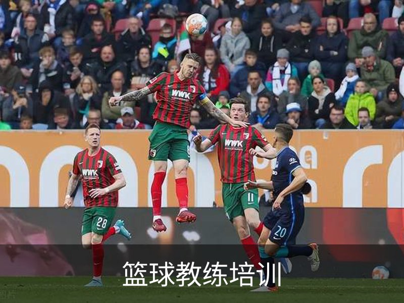 关于篮球教练培训